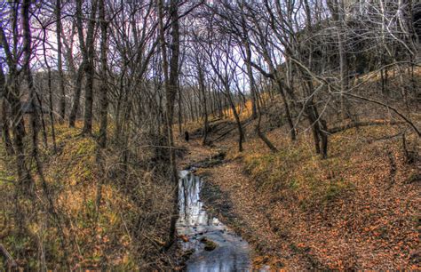 Small Stream At Meramec State Park Missouri Image Free Stock Photo