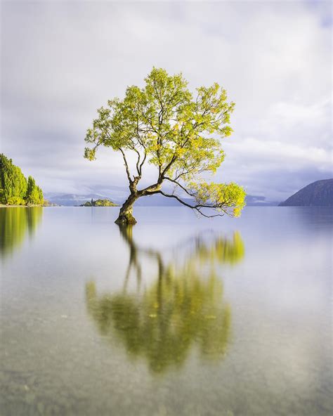 The Lone Tree Wanaka 1080x1350 Oc Marco Grassi Photography R