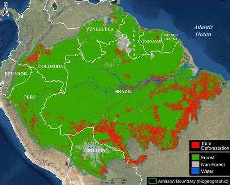 Amazon Rainforest Deforestation Map Sexiz Pix