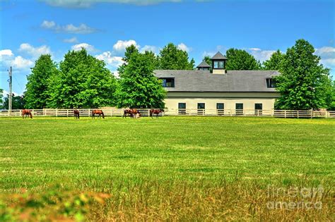 Ky Race Horse Farm No2 Photograph By Paul Lindner