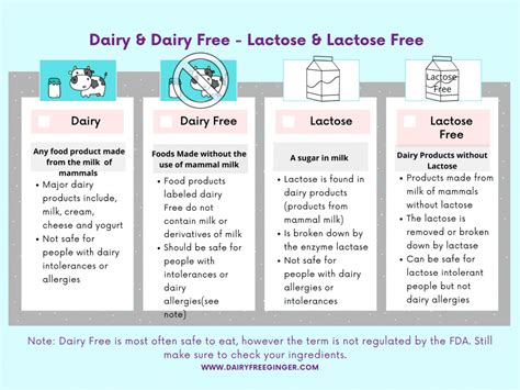 Is Dairy Free The Same As Lactose Free Dairy Free Ginger