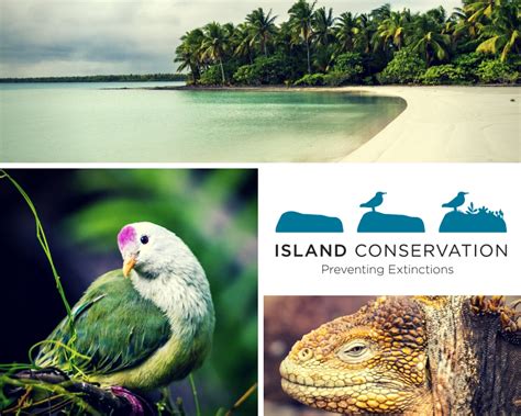 island conservation island conservation joins the global island partnership island conservation