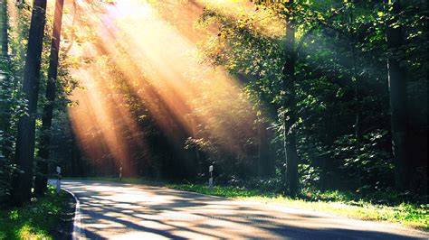 Wallpaper flare collects most beautiful hd wallpapers for pc, mobile and tablet desktop, including 720p, 1080p, 2k, 4k, 5k, 8k resolutions, all wallpapers are free download. Paradise Path Wallpapers | HD Wallpapers | ID #11600