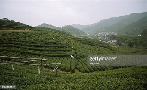 Meijiawu Village Photos And Premium High Res Pictures Getty Images