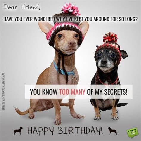 50 Happy Birthday Best Friend Memes And Pictures With Wishes