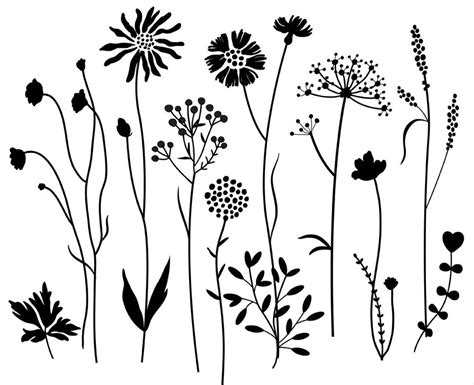 Wildflowers 2 Digital Clipart Hand Drawn Digital Clipart Etsy Uk