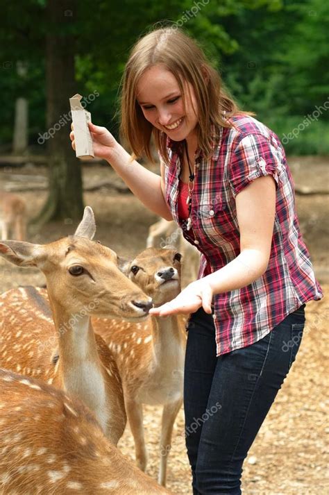 Woman Feeding Deer In A Park Stock Photo By Stefan
