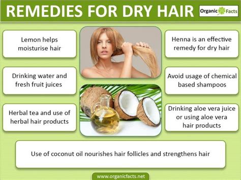 8 Amazing Home Remedies For Dry Hair Organic Facts