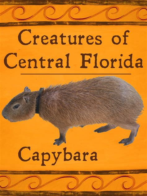 Pajama Penguin Productions Creatures Of Central Florida Capybara