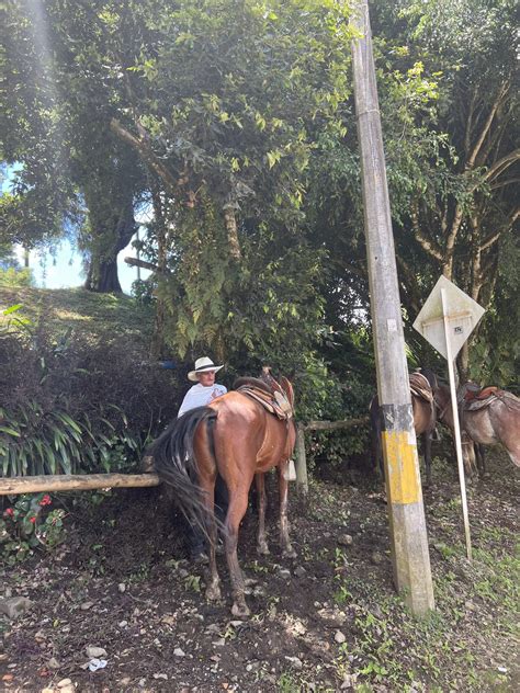 A Guide To The Top Horseback Riding Tours In Medellin Casacol