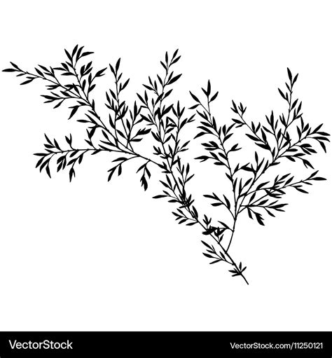 Tree Branches With Leaves Royalty Free Vector Image