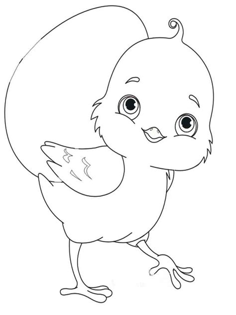 Baby Chick Coloring Pages