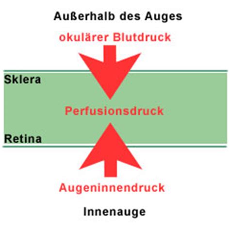 Ein augendruck von 25mmhg oder höher sind bedenklich; Fragen und Fakten | glaukom.de