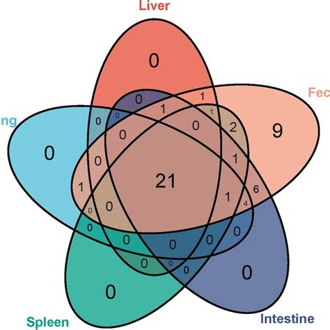 Venn Diagram Of Viral Families Shared In The Five Tissues The Numbers