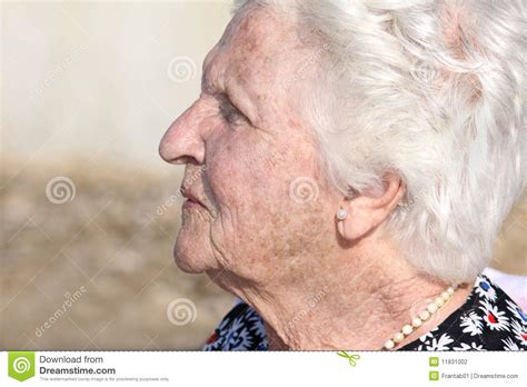 Old Woman Profile Portrait Stock Photo Image Of Freckles 11831002