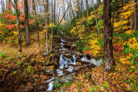 Cascading Waterfall In Autumn Forest