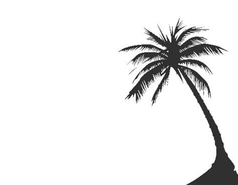 Free Palm Tree Silhouette Png Download Free Palm Tree Silhouette Png