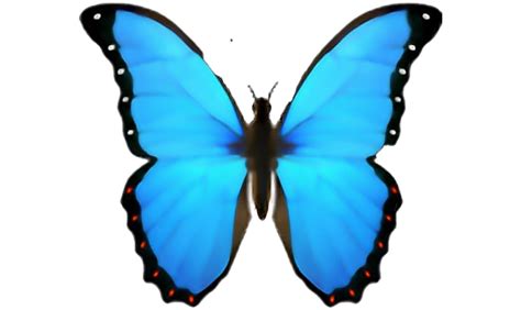 My Miniblog | Pam Roy | Butterfly Emoji