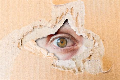 Hidden Eye Watching Through Hole In Cardboard Paper Stock Photo Image