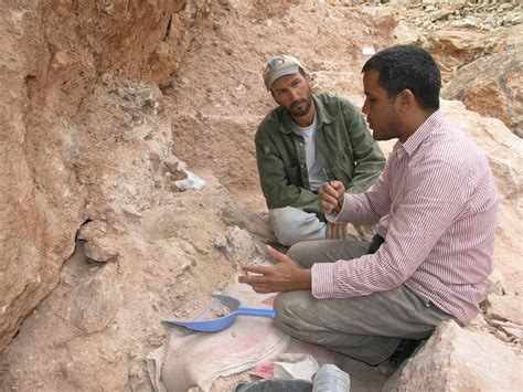 Earliest Fossil Evidence Of Homo Sapiens Found In Morocco Science
