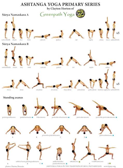 Best 25 Ashtanga Yoga Primary Series Ideas On Pinterest Ashtanga