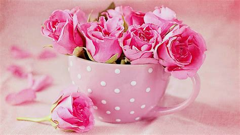 Pink Roses In A Teacup