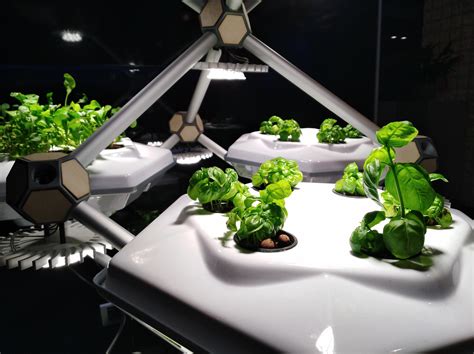 biophilic design — All Blog Posts — AGRITECTURE