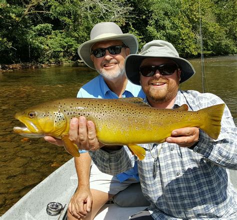 Watauga lake is one of the largest and cleanest lakes in the country! Mother's Day Caddis aka Granom on the Watauga River ...