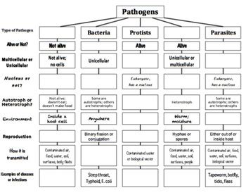 The spread of pathogens answer key | hsm1.signority. The spread of pathogens model 2 answer key. model 2 six ...