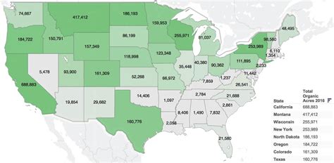 5 States That Grow the Most Organic Food Per Acre | Awaken