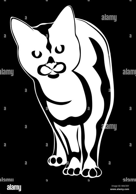 Stencil Of Abstract Cat Black Vector Hand Drawing On The White