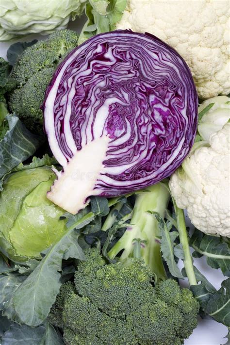 Pink Cabbage Stock Image Image Of Food Cauliflower Broccoli 8611505