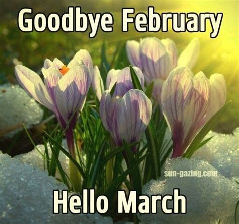 Image Result For Goodbye February Welcome March Hello March Hello