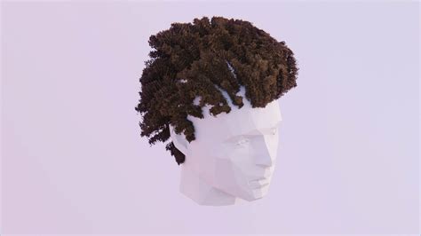 Afro Hair 3d Model By Tikosgames