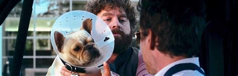Risorsa grande, codesta, se fra uomo e donna non c'q dissenso. Parto col folle (2010) - Streaming | FilmTV.it