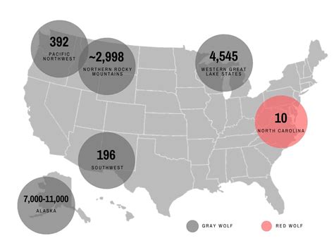 Us Wolf Population August 2022 Wolf Conservation Center