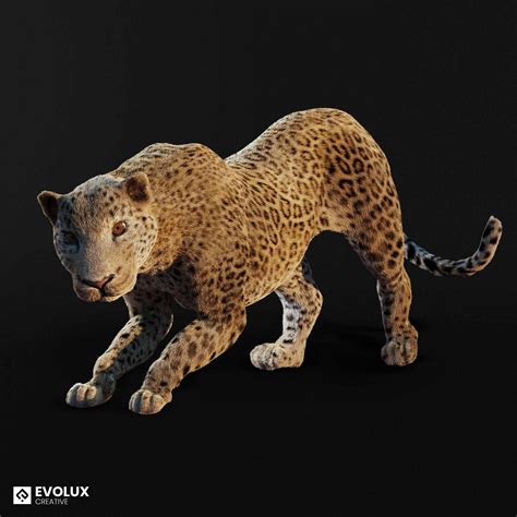Realistic Leopard 3d Model Made By Evolux Zbrushcentral