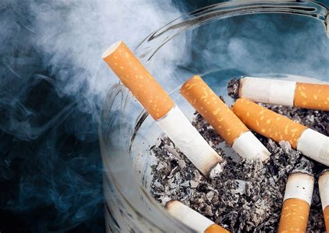 The environment also suffers when cigarette smoking continues. Revealed: This is the legal argument for overturning SA's ...