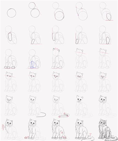 How To Draw A Realistic Cat Step By Step