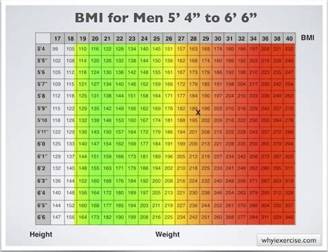 Maintaining a healthy weight may reduce the risk of chronic diseases associated with overweight and obesity. What is the ideal weight for the 5.6 tall male who is 22 ...