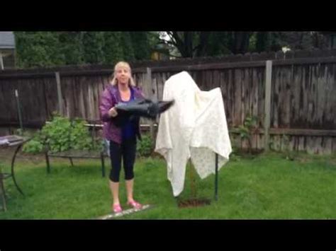 Second, the leaves also need moisture. How to protect new fruit trees from frost - YouTube