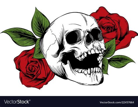 Skull With Flowers With Roses Drawing By Hand Vector Download A