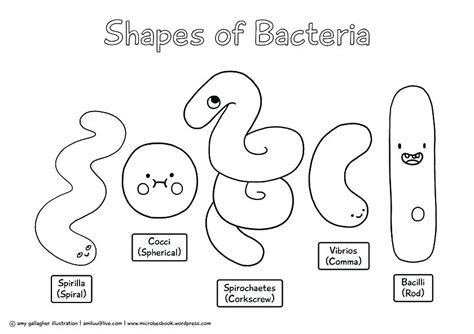 Download and print free bacteria coloring pages to keep little hands occupied at home; Bacteria Coloring Pages at GetColorings.com | Free ...
