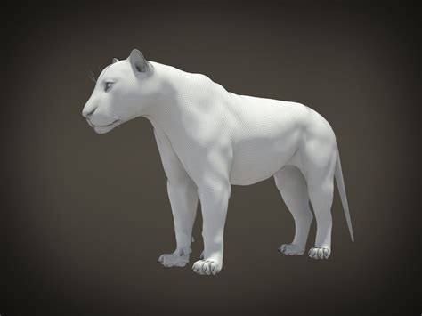 Lion The King Hair And Fur 3d Model Rigged Cgtrader