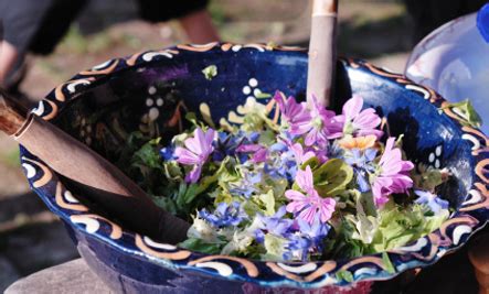 What flowers do we eat. care2 presents … 10 'Common Flowers' we can EAT