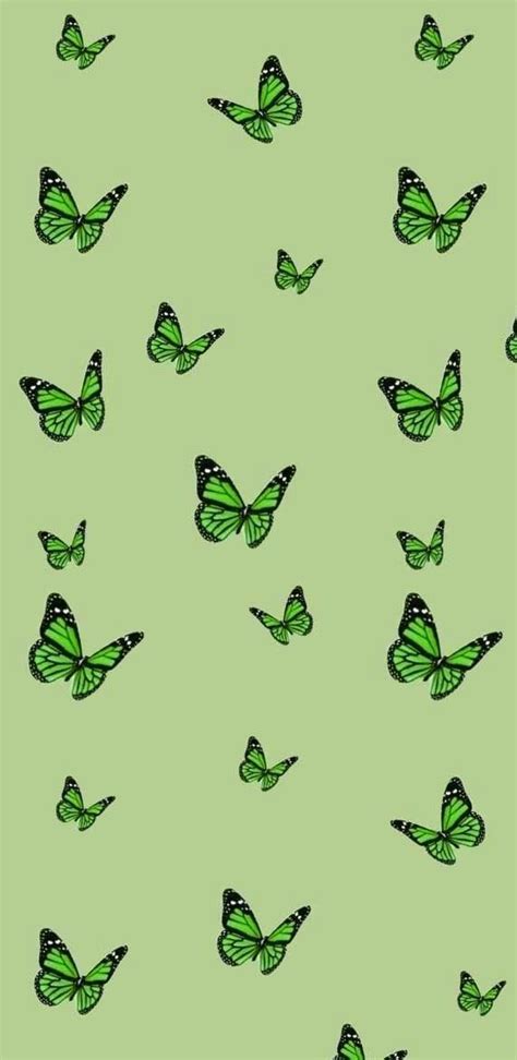 Green Buttlerflies Wallpaper Butterfly Wallpaper Iphone Iphone