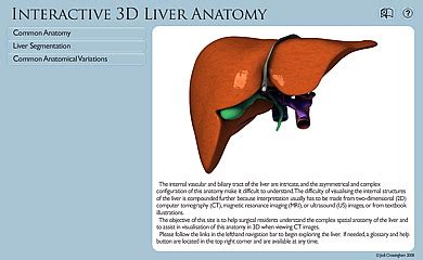 Liver 3d animation video ? VIRTUAL Liver: Anatomy Tool Introduction