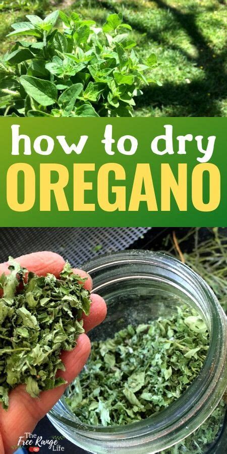 How To Dry Oregano The Best Way Drying Fresh Herbs How To Dry