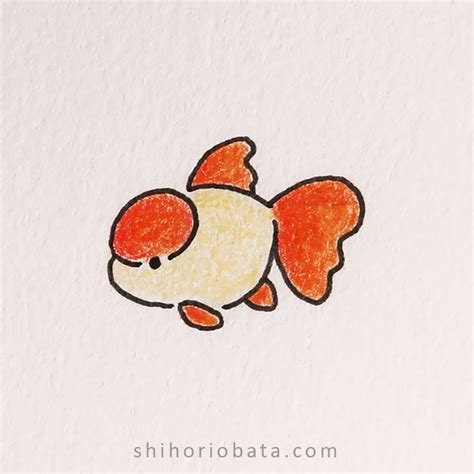 20 Easy Fish Drawing Ideas