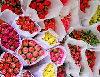 Premium fresh cut flowers in bulk direct from farms around the world. Step Van: Fresh Flowers In Bulk